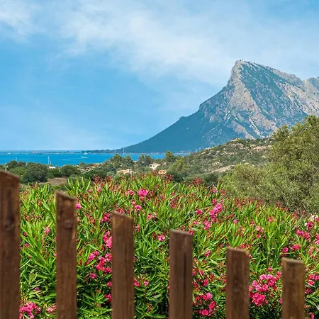 Holiday home Meyer Lu Pitrali Monte Petrosu